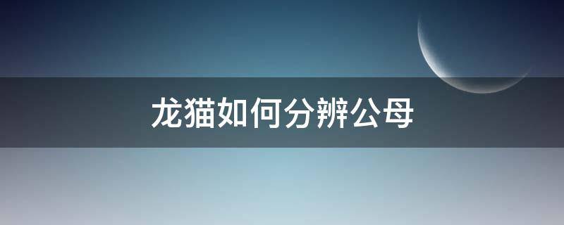 龙猫如何分辨公母 如何辨别龙猫公母