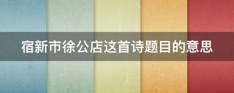 宿新市徐公店这首诗题目的意思 宿新市徐公店这个题目的意思是什么