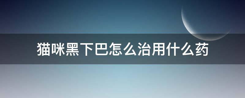 猫咪黑下巴怎么治用什么药（治疗猫咪黑下巴用什么药）