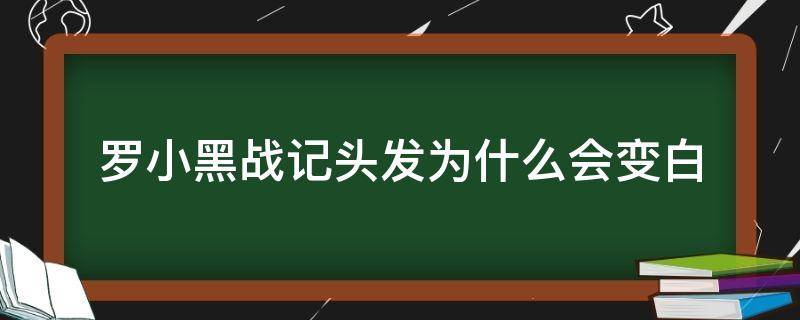 罗小黑战记头发为什么会变白 罗小黑战记小黑为什么是白发