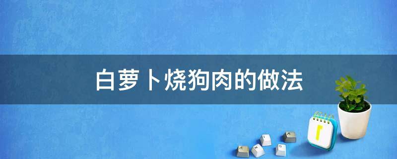 白萝卜烧狗肉的做法（胡萝卜烧狗肉的做法）