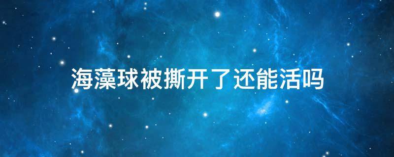 海藻球被撕开了还能活吗 海藻球可以撕开吗