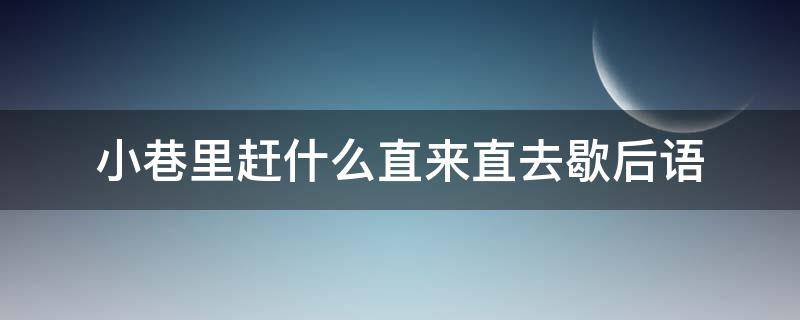 小巷里赶什么直来直去歇后语（直来直去的歇后语）