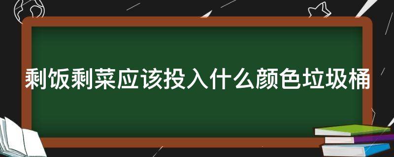 剩饭剩菜应该投入什么颜色垃圾桶 剩菜剩饭应投入什么颜色的垃圾桶