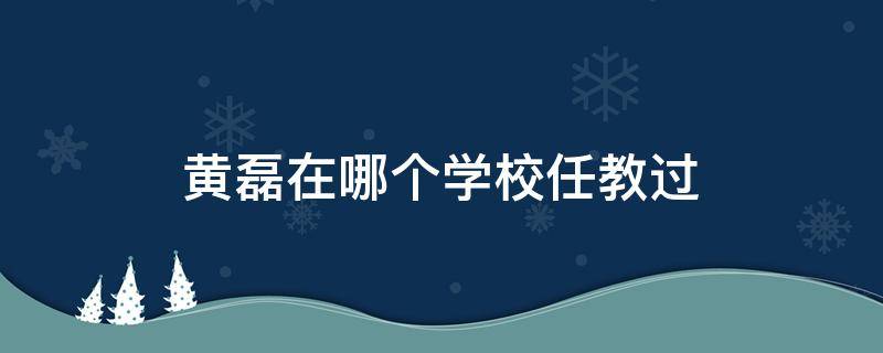 黄磊在哪个学校任教过 黄磊在哪个学校当老师