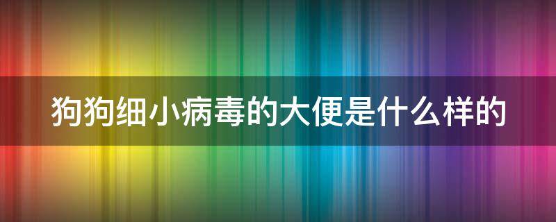 狗狗细小病毒的大便是什么样的（狗狗细小病毒的大便是什么样的图片）