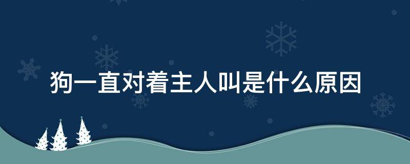 狗一直对着主人叫是什么原因（狗狗对着主人大叫的原因是什么）