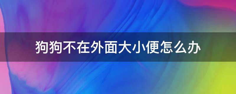 狗狗不在外面大小便怎么办（幼犬不在外面大小便怎么办）