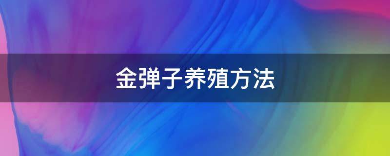 金弹子养殖方法 怎样养植金弹子