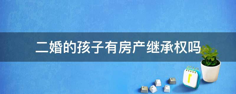 二婚的孩子有房产继承权吗（二婚的儿子可以继承父亲名下房产吗）