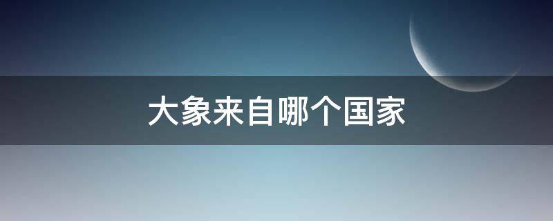 大象来自哪个国家 大象来自哪个国家用英语回答