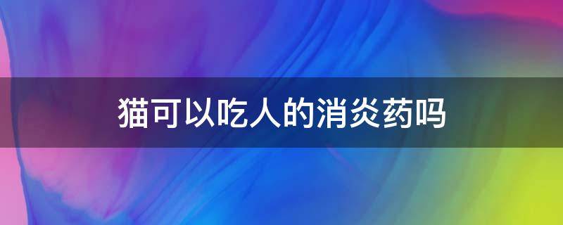 猫可以吃人的消炎药吗 猫咪能吃人的消炎药吗