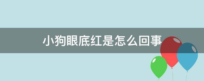 小狗眼底红是怎么回事 狗狗眼下红