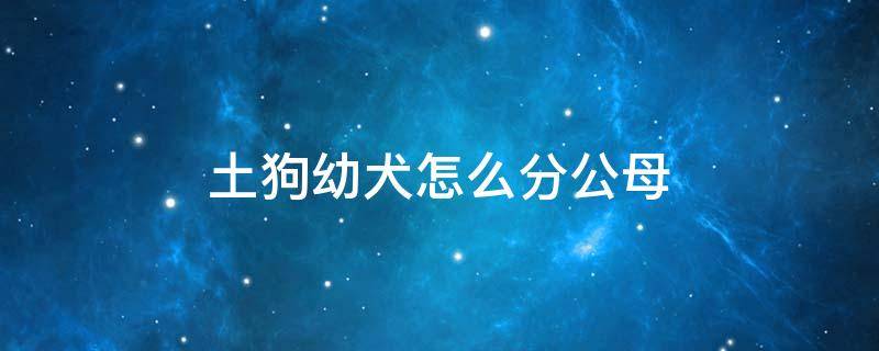 土狗幼犬怎么分公母 土狗幼犬怎么分公母视频