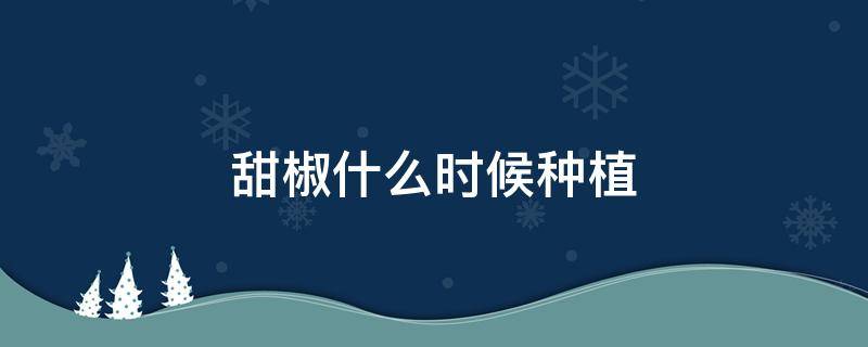 甜椒什么时候种植 甜椒什么时候种植最好