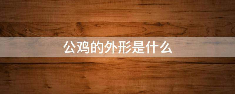 公鸡的外形是什么 公鸡的外形是什么样的为什么人们会喜欢他