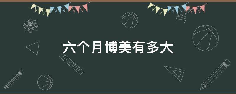 六个月博美有多大 6个月大的博美