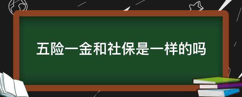 五险一金和社保是一样的吗 五险一金和社保有什么不一样