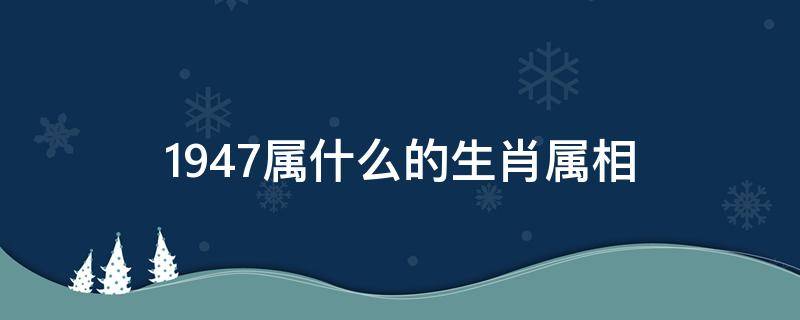 1947属什么的生肖属相（1947年什么生肖属相）