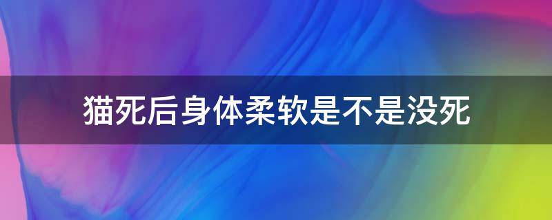 猫死后身体柔软是不是没死 猫死后身体变软