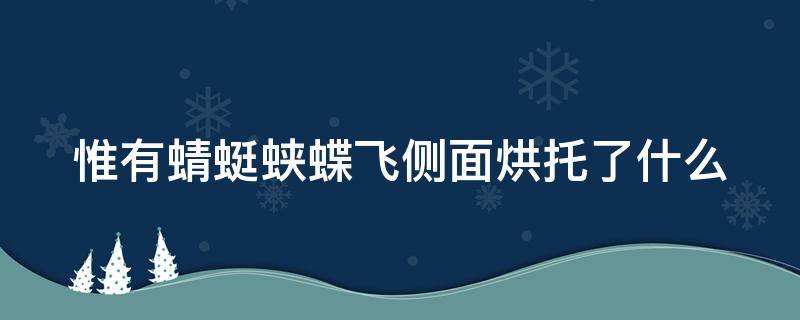 惟有蜻蜓蛱蝶飞侧面烘托了什么 惟有蜻蜓蛱蝶飞这句诗运用了什么写作手法有什么好处