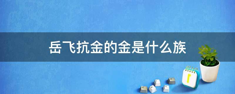 岳飞抗金的金是什么族（岳飞抗金的金是什么民族）