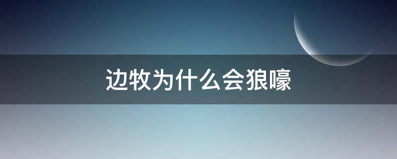 边牧为什么会狼嚎 边牧为什么会狼叫