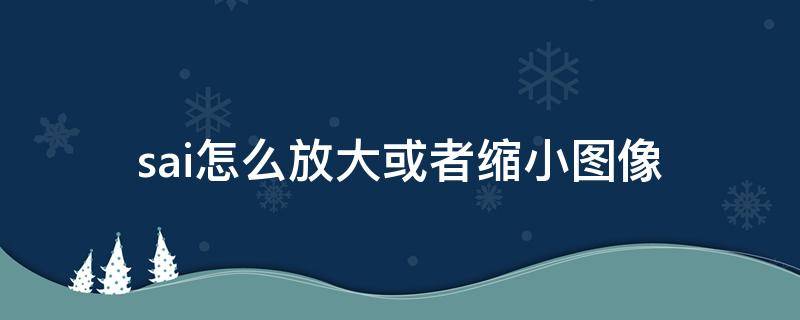 sai怎么放大或者缩小图像 sai如何把图像放大