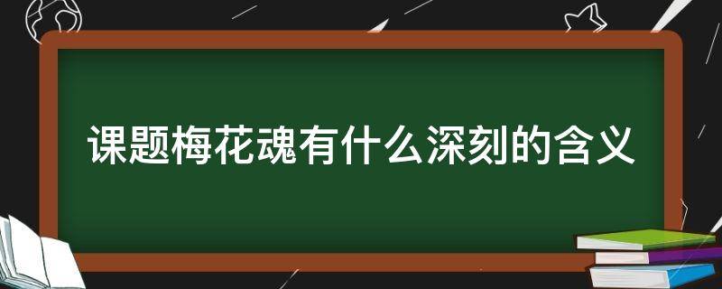 课题梅花魂有什么深刻的含义（对梅花魂课题的理解）