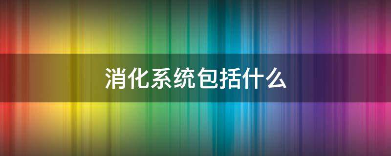 消化系统包括什么 蛔虫的消化系统包括什么