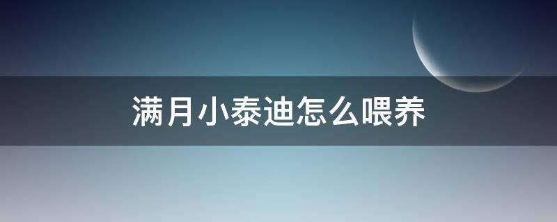 满月小泰迪怎么喂养 刚满月的小泰迪怎么喂养