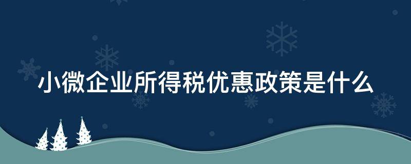 小微企业所得税优惠政策是什么（小微企业所得税优惠政策是什么意思）