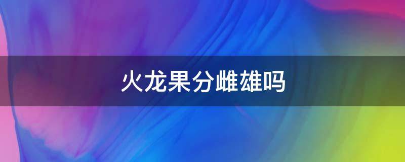 火龙果分雌雄吗 火龙果雌雄花怎么分别