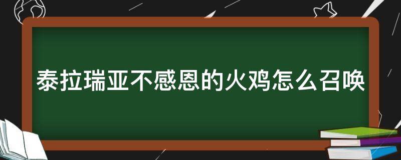 泰拉瑞亚不感恩的火鸡怎么召唤 泰拉瑞亚感恩节商人为什么不卖火鸡宠物