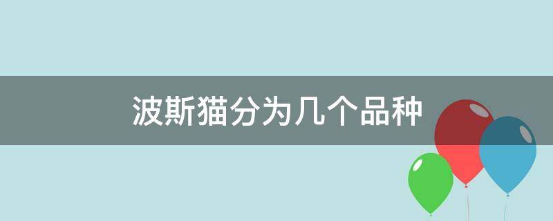 波斯猫分为几个品种 波斯猫属于哪种类型