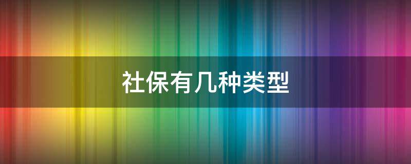 社保有几种类型（广州社保有几种类型）