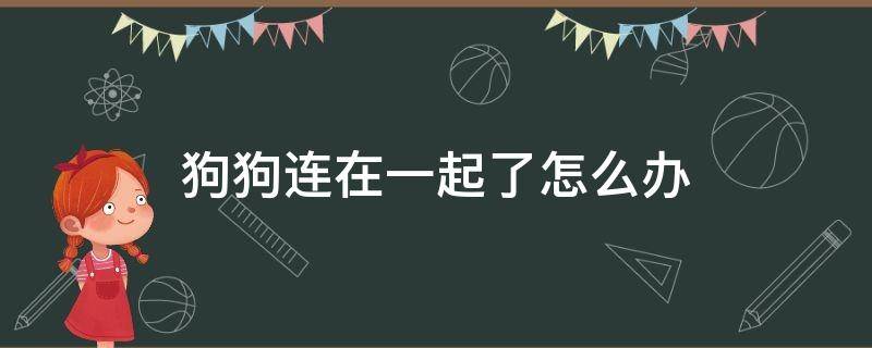 狗狗连在一起了怎么办（狗跟狗连一起是什么情况）