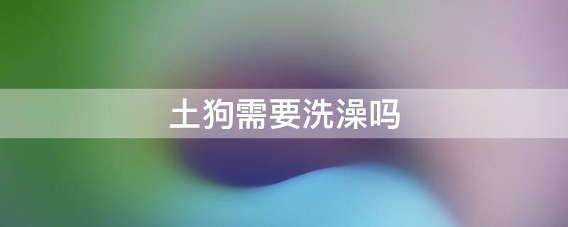 土狗需要洗澡吗 土狗能不能洗澡?