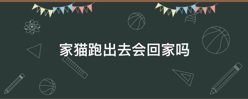 家猫跑出去会回家吗 家猫从家里跑了会不会自己回来?