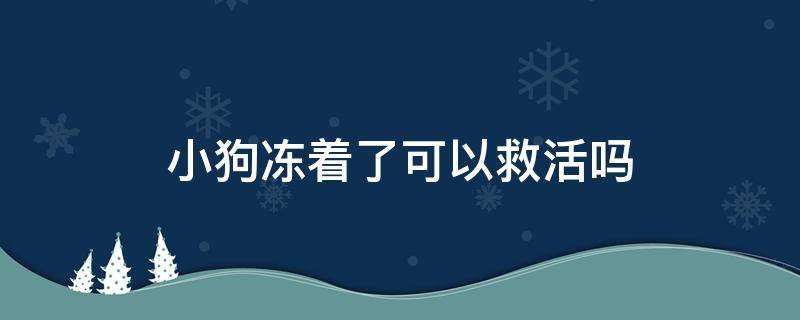 小狗冻着了可以救活吗 小狗冻死了还能救活吗