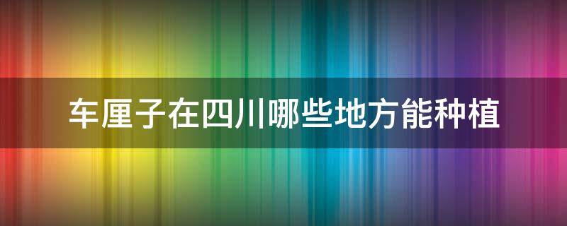 车厘子在四川哪些地方能种植 四川车厘子种植基地