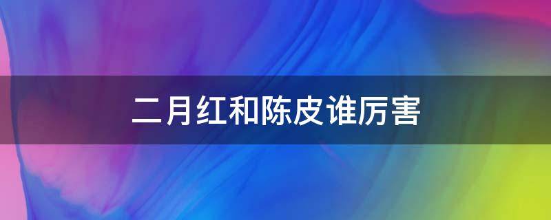 二月红和陈皮谁厉害（二月红和陈皮谁更厉害）