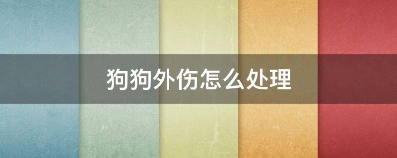 狗狗外伤怎么处理（狗狗外伤怎么处理伤口）