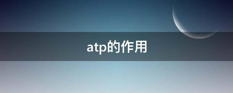 atp的作用 暗反应atp的作用