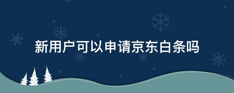 新用户可以申请京东白条吗（京东新注册用户可以开通白条吗）