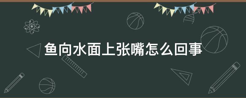 鱼向水面上张嘴怎么回事 鱼一直在水面上张嘴巴