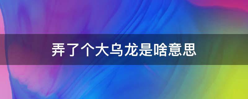 弄了个大乌龙是啥意思（搞乌龙的意思）