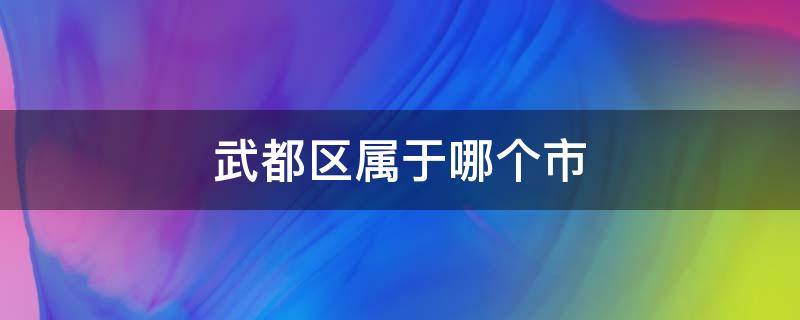 武都区属于哪个市 武都几个区