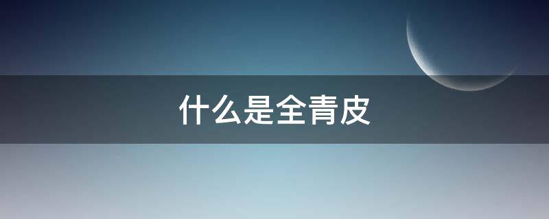 什么是全青皮 什么是全青皮沙发