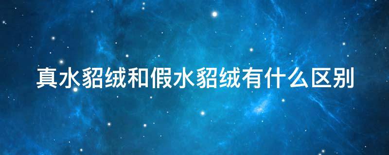 真水貂绒和假水貂绒有什么区别 真水貂绒和假水貂绒的区别